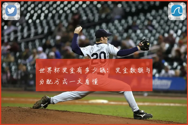 世界杯奖金有多少钱：奖金数额与分配方式一文看懂