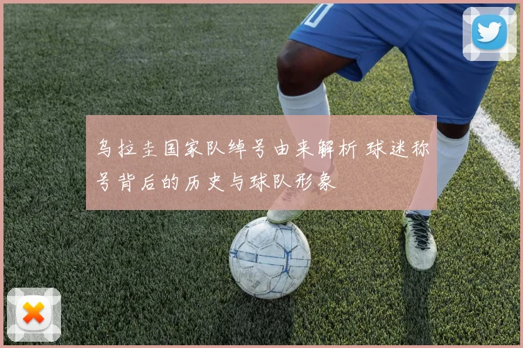 乌拉圭国家队绰号由来解析 球迷称号背后的历史与球队形象