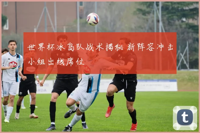 世界杯冰岛队战术揭秘 新阵容冲击小组出线席位